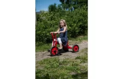 Winther Driewieler Mini -Rijden Speelgoeds Winkel 2d1e831e536f9e3bb247e08f18135b2dee046d7461a4bd03f1f18a0c17b241ec