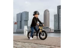 BERG Biky Cross Grey 16 BERG Biky Cross Grey -Rijden Speelgoeds Winkel 925298ef693db2031d6fbf3a2da26abd5744a8828d86154fd506f1ac0106874c