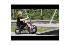 Winther Driewieler Easy Rider Off-road -Rijden Speelgoeds Winkel hqdefault 52 5