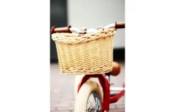 Fietsmandje Tbv Trybike Steel -Rijden Speelgoeds Winkel l img 3958