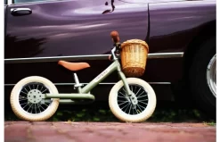 Fietsmandje Tbv Trybike Steel -Rijden Speelgoeds Winkel l img 3971